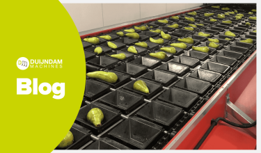 Lista kontrolna: Na co zwrócić uwagę przy zakupie używanej maszyny sortującej