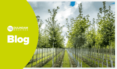 Mașini de legat pentru pepinierele de copaci: frânghie, elastic sau sârmă?