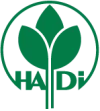Hadi