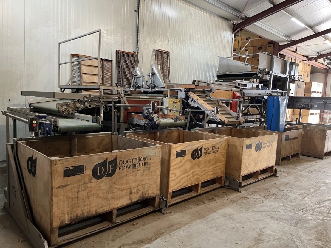 Bercomex Potveer sorting machine