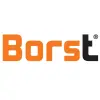 Borst