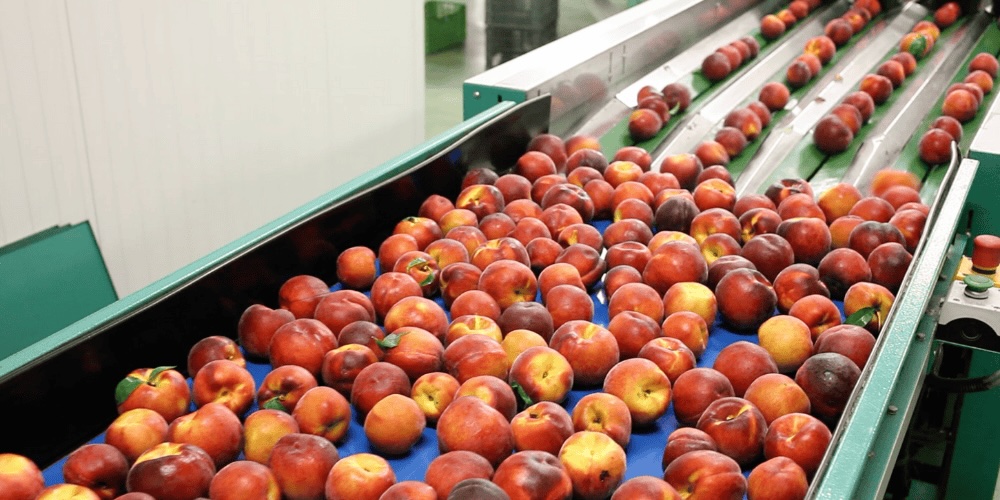 Gebrauchtes Förderband