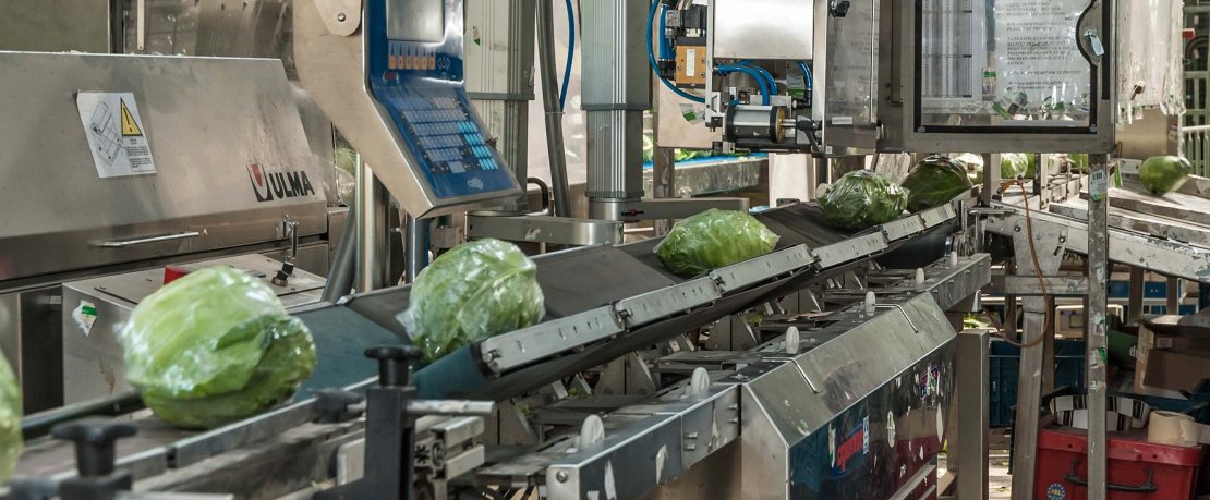 Used Packaging machine