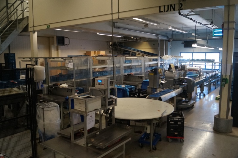 Download Double Small Packaging Line For Flow Packing On Trays Line 1 Duijndam Machines