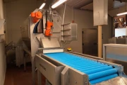 Sormac MS Combi knife peeling machine with RLT-60/200 roller inspection conveyor