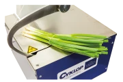 AXRO-FQC-2-spring-onion-elastic-bunching-machine