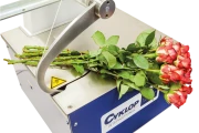 AXRO-FQC-2-roses-elastic-bunching-machine