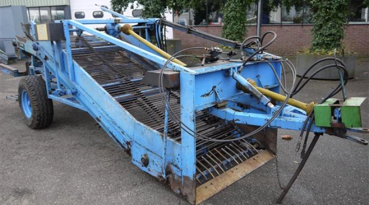 Asus beddenrooier (5)