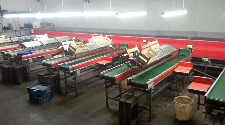 Aweta-Stas-apple-pear-grader-waterdump (4)