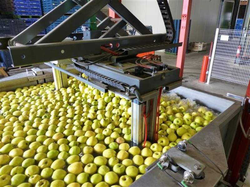 Stas bin water dumper for apples and pears • Duijndam Machines