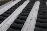Aweta g38 (10)