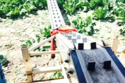 Beets-harvesting-conveyor-13-meter3
