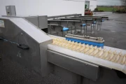 Christieans aspergesorteermachine (11) (Small)