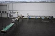 Christieans aspergesorteermachine (13) (Small)