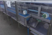 Cutting and washing machine for herbs - ACB Solutions (5)