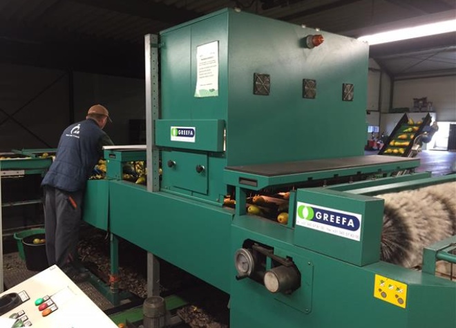 Greefa MSE 2000 Obstsortiermaschine • Duijndam Machines