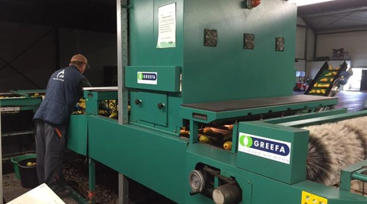 Greefa-MSE-6-lane-pear-grading-machine (11)