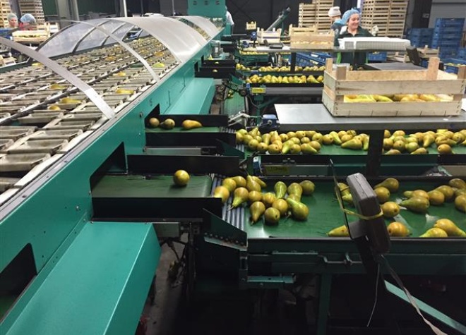 SUPPLY OPTIMISER - Burg Machinery
