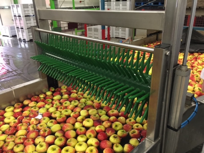 Greefa MSE sorting machine with Burg bin water dumper • Duijndam Machines