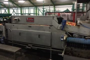 Greefa-MSE-apple-pear-sorting-machine-Burg (4)