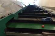 Greefa-MSE-apple-pear-sorting-machine-Burg (44)