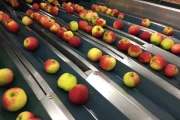 Greefa-MSE-apple-pear-sorting-machine-Burg (6)