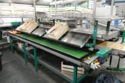 Greefa-MSE-apple-pear-sorting-machine-double-packaging-conveyor-2007-2