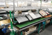 Greefa-MSE-apple-pear-sorting-machine-double-packaging-conveyor-2007