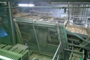 Grisnich-Campfens-sorting-machines-potatoes-3-sortings (4)