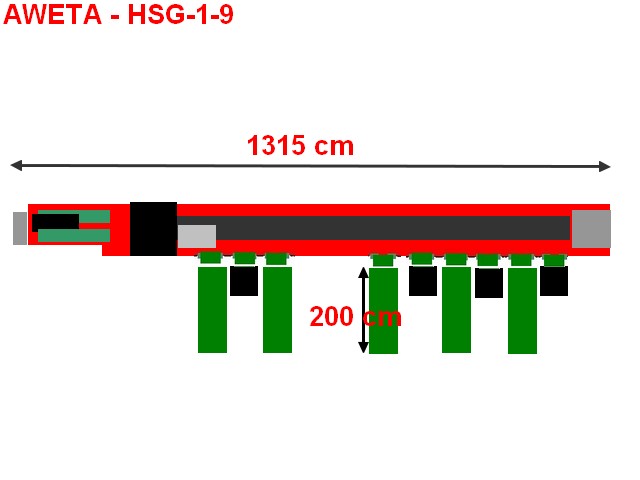 Aweta HSG 1- линия сортировочная машина для фруктов с 9 сортировок с Burg Dumper