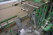 Jamafa-rose-sorting-processing-machine (13)