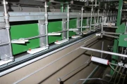 Jamafa-rose-sorting-processing-machine (14)