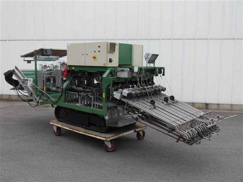 Koppert harvester and bunching machine for radish • Duijndam Machines