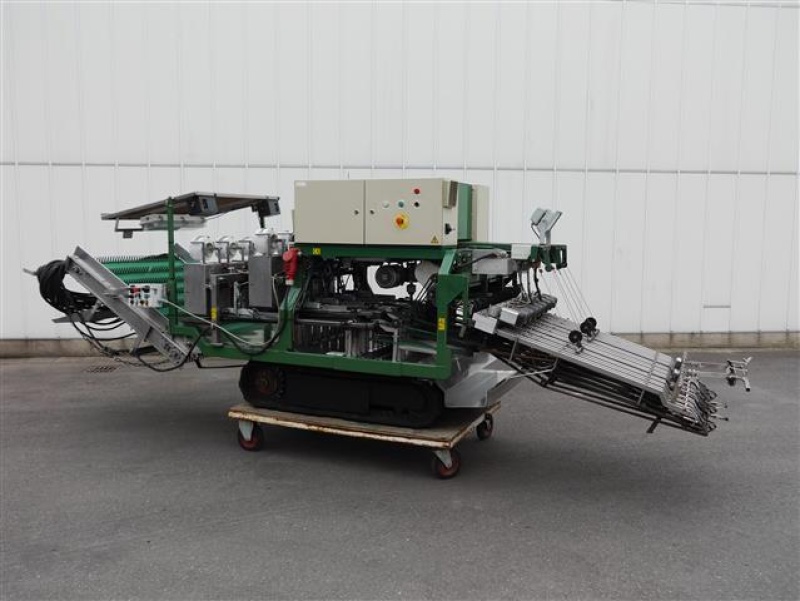 Koppert harvester and bunching machine for radish • Duijndam Machines