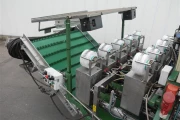 Koppert-radish-harvesting-bunching-machine (7)