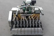 Koppert-seeding-drill-radish (3)