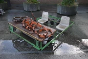 Krato slaplanter (2)