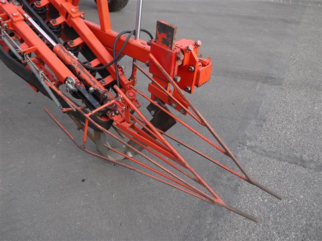 Lauwers Borobos ����� ��������� ������