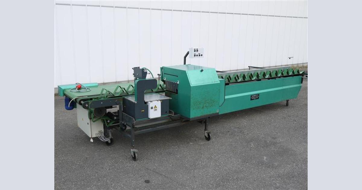 Olimex Bunching machine for flowers with Cyclop Binder • Duijndam Machines