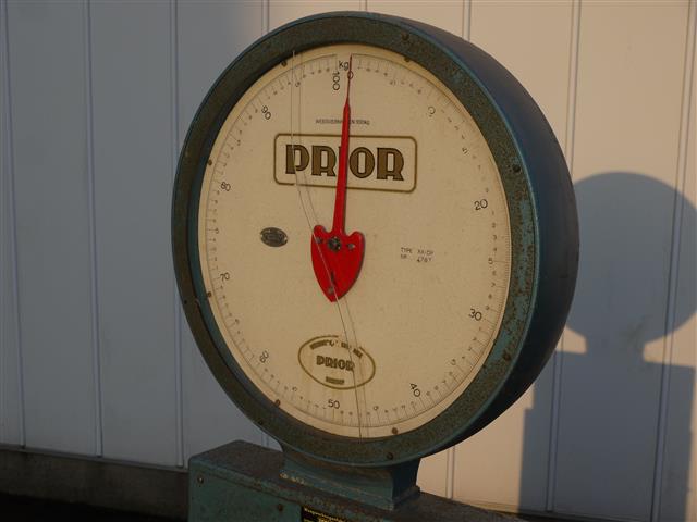 Весы для часов Prior Scale 100 кг