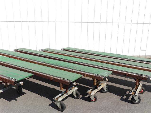 Конвейеры Stolze 600 x 45 см