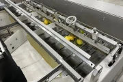 Affeldt AVN 112CW 14 weigher for citrus and brussels sprouts