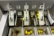 Affeldt AVN 112CW 14 weigher for citrus and brussels sprouts