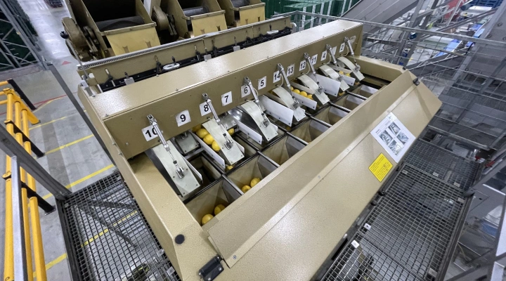 Affeldt weighing machine with Affeldt AVN 929 clipper