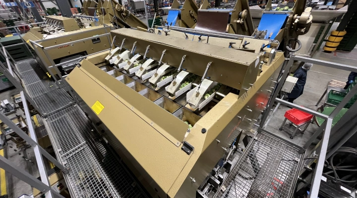 Affeldt 14 kops afweegmachine en C pack clippers