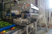 Affeldt weighing machine with GNA flowpacking machine for bell peppers