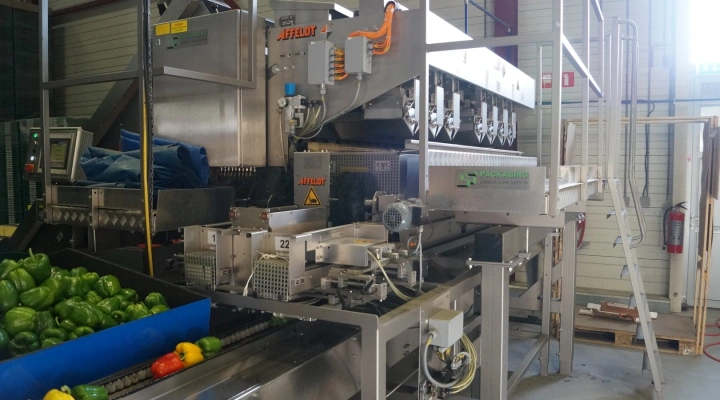 Affeldt weighing machine with GNA flowpacking machine for bell peppers