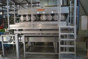 Affeldt weighing machine with GNA flowpacking machine for bell peppers