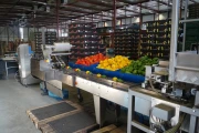 Affeldt weighing machine with GNA flowpackaging machine