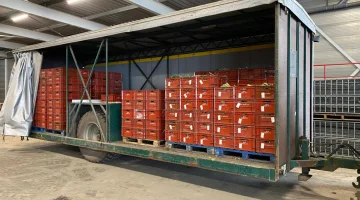 Agrifirm harvesting trailer